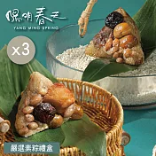 【陽明春天】嚴選素粽禮盒(6入)x3盒 5/15~5/21出貨