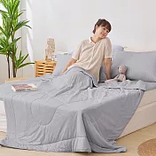 《DUYAN 竹漾》台灣製 Cool-Fi Huggy 冰絲涼感被 / 灰銀霜