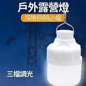 CS22 戶外露營可充電燈泡-1顆入