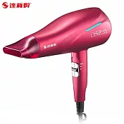 TASHIN 達新牌 負離子抗菌吹風機TS-2969 -