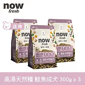 Now! 中型成犬鮭魚配方 900克(100克9包替代出貨) 高湯天然糧 | 乾濕兩吃 火雞高湯 中型犬 犬糧 狗糧 WDJ