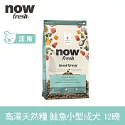 Now! 小型成犬鮭魚配方 12磅 高湯天然糧 | 乾濕兩吃 火雞高湯 小型犬 四葉草顆粒 犬糧 狗糧 WDJ