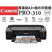 Canon imagePROGRAF PRO-310 專業級10色A3+相片印表機