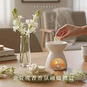 【The Forest 癒森林】金萱晚香香氛融蠟禮盒（4入香氛蠟塊+融蠟燭燈）