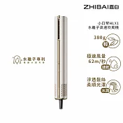 ZHIBAI 直白 水離子高速BLDC吹風機-小口琴-兩色可選(HLX1) 山茶白