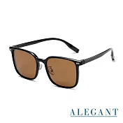 【ALEGANT】經典百搭TR90方框寶麗來偏光墨鏡/UV400太陽眼鏡/琉墨黑/砂岩棕/曜玉綠 砂岩棕