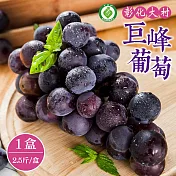 【禾鴻】彰化大村巨峰葡萄2.5斤x1盒(3串/盒_產銷履歷)  下單7個工作天出貨