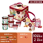 【Haagen-Dazs 哈根達斯】迪士尼歡慶派對迷你杯12入組