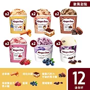 【Haagen-Dazs 哈根達斯】歐風甜點系列迷你杯12入組100ml