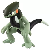POKEMON 精靈寶可夢 MS-50 摩托蜥