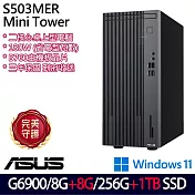 ★全面升級★ASUS 華碩 H-S503MER-0G6900001W 桌上型電腦 (Celeron G6900/8G+8G/256G+1TB/W11/3年保)