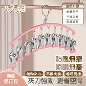 【APEX】多功能防風晾曬襪夾10夾 3入組 (晾衣夾 晾衣架 曬襪架 內衣夾 衣架 吊襪架 毛巾架 襪夾 襪架) 櫻花粉