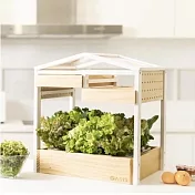 城市農夫-水耕栽培組