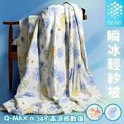 《Dr.Air透氣專家》瞬冰輕紗被 超薄透氣 冰感親膚 夏季好眠神器 涼感被 涼被 冰涼被 夏季被 藍語