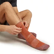 【紐西蘭Icebreaker】男 中筒中毛圈健行襪(+) S 棕土褐/豆莢棕