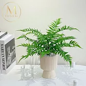 【Floral M】居家氛圍感波斯頓蕨仿真綠植