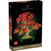樂高LEGO Botanicals系列 - 10348 日本紅楓盆景