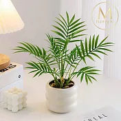 【Floral M】居家熱帶雨林散尾葵仿真植栽