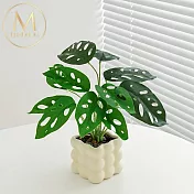 【Floral M】高顏值桌上仙洞龜背竹仿真植栽