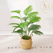 【Floral M】室內小森林招財鳳凰尾仿真植栽
