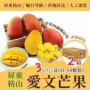 《沁甜果園》屏東愛文芒果3公斤*2箱(11-14顆裝)產地箱