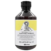 Davines 特芬莉 達芬尼斯 純淨抗屑洗髮露 250ml