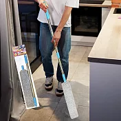 大清除縫隙除污撢-伸縮型-2支