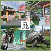 (電子票) 宜蘭【星夢森林劇場門票】假日單人全票(MO25)【受託代銷】