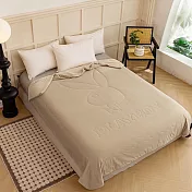 【PLAY BOY】極凍涼感夏日冰冰被 2入(涼被/涼感被/冷氣毯) 尊爵灰