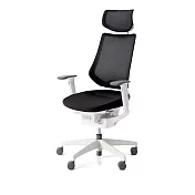 KOKUYO ing 日系機能人體工學辦公椅- 黑