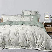 《DUYAN 竹漾》台灣製 奧地利天絲雙人床包三件組 / 蒼茫絮語