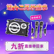 【ifive】戶外手提卡拉OK音響SK055-無線麥克風組合 黑