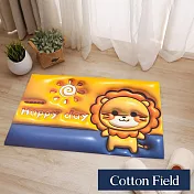 棉花田3D視覺吸水防滑地墊-二件組(多款可選)  太陽獅