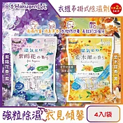 (2袋任選超值組)日本Hakugen白元-衣櫃用長效乾燥防霉消臭香氛吊掛式除濕劑4入/袋(DRY&DRY UP氯化鈣顆粒吸濕片,衣物脫臭防泛黃,淨味透明防潮集水袋) 紫陽花香(紫)*2袋