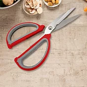 多功能不鏽鋼剪刀-2支