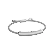 BESTHOT 精油防蚊手環(不透明款) 騎士銀