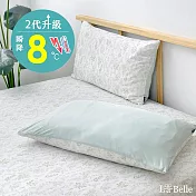 義大利La Belle《晨夏初韻》超COOL超涼感信封枕套--2入