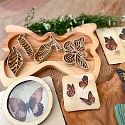 子玄  蝴蝶壓模四款各一  蝴蝶生命循環印模組 黏土道具