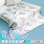 《英柏絲》100%純天絲涼被 涼感 輕柔好眠被 柔滑 親膚 夏涼被 150X195cm(多色任選) 小島