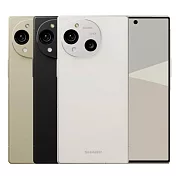 Sharp AQUOS R10 (12G/512G)※送支架※  米