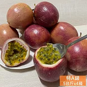 預購【南投埔里大坪頂直送】特A級雙子星百香果5台斤x4箱(產地直送_友善耕種)