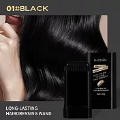 【MEIDIÁN】口紅式去白補色染髮棒 2入組 約會上班 去白髮 補染髮 MEIDIÁN黑