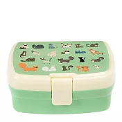 英國 Rex London 卡扣式兩層午餐盒/便當盒/野餐盒_ 萌貓樂園