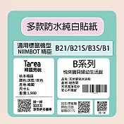 【NIIMBOT 精臣】NIIMBOT 精臣  標籤機 打印機 專用 純白 貼紙 B21/B21S/B3S/B1 適用 / 捲 B系列 曲面貼-柔白50*70mm-105張/捲