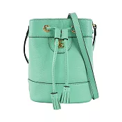 GUCCI Ophidia 金色標誌水桶斜背包(Mini) (薄荷綠)