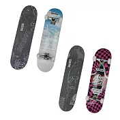 【SUCCESS 成功】教學用滑溜板 街頭款/賽車款 /台 S0308A / S0308B S0308A 街頭款