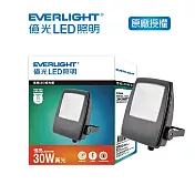 EVERLIGHT 億光30W恆亮投光燈IP65 黄光
