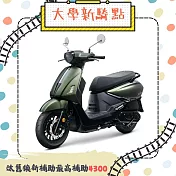 SYM 三陽機車 Fiddle DX 158 雙碟煞 ABS TCS 深綠(消光)