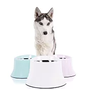 【摩達客寵物】優質高腳護頸斜口防滑加厚狗碗寵物碗_藍色L(寵物護頸 高腳飼料碗) 藍色L