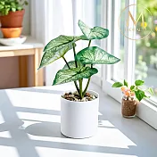 【Floral M】室內桌上型白天使海芋仿真綠植